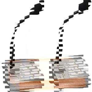 2N SIP ALL-IN-ONE MIC CONSOLE